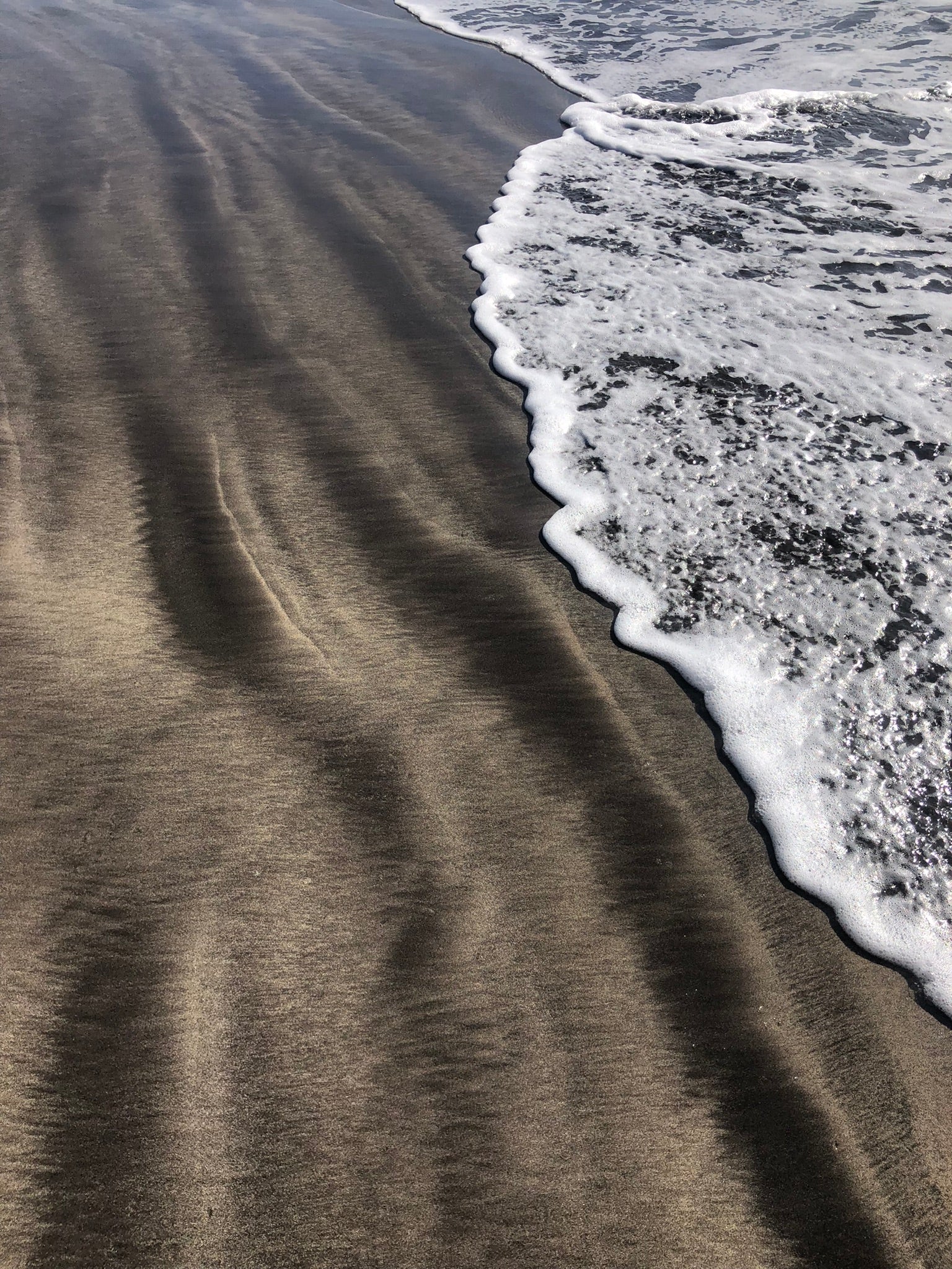 Organic Cosmetics & Wellness Essentials
– barau.bio