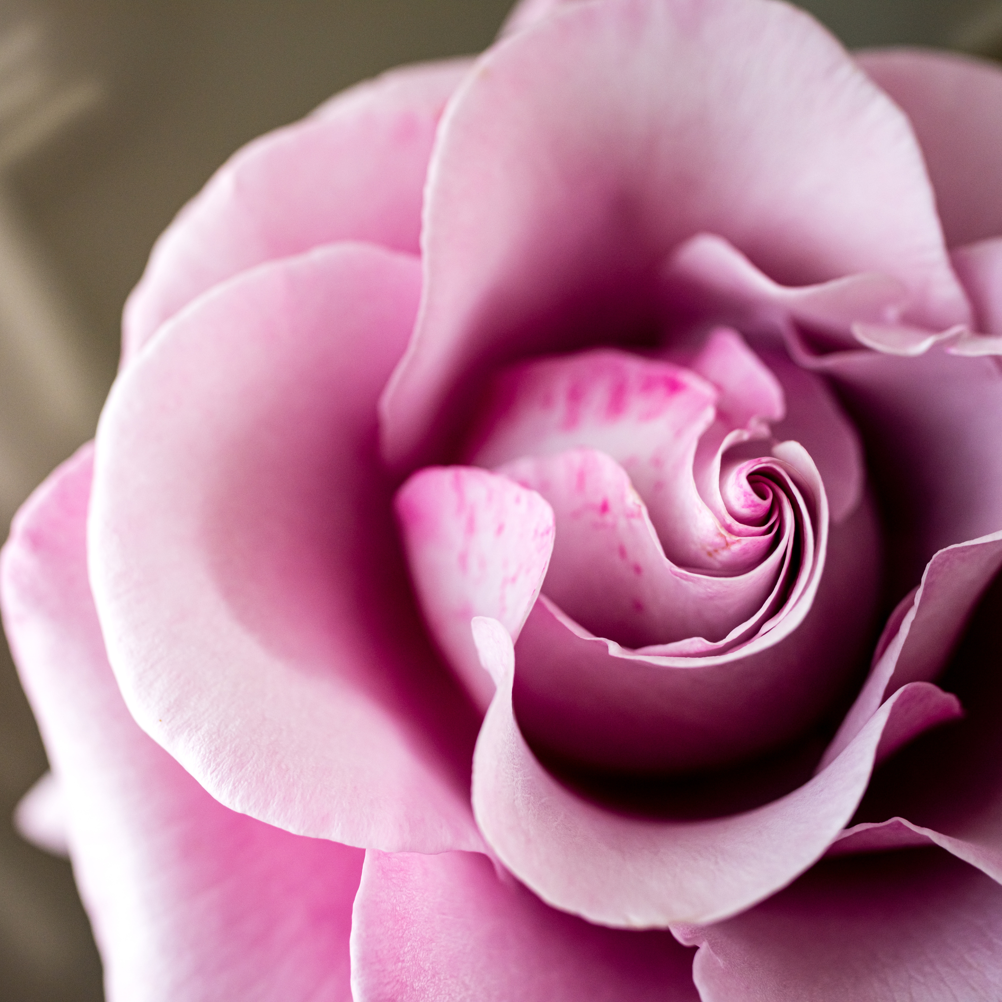 Aroma Care