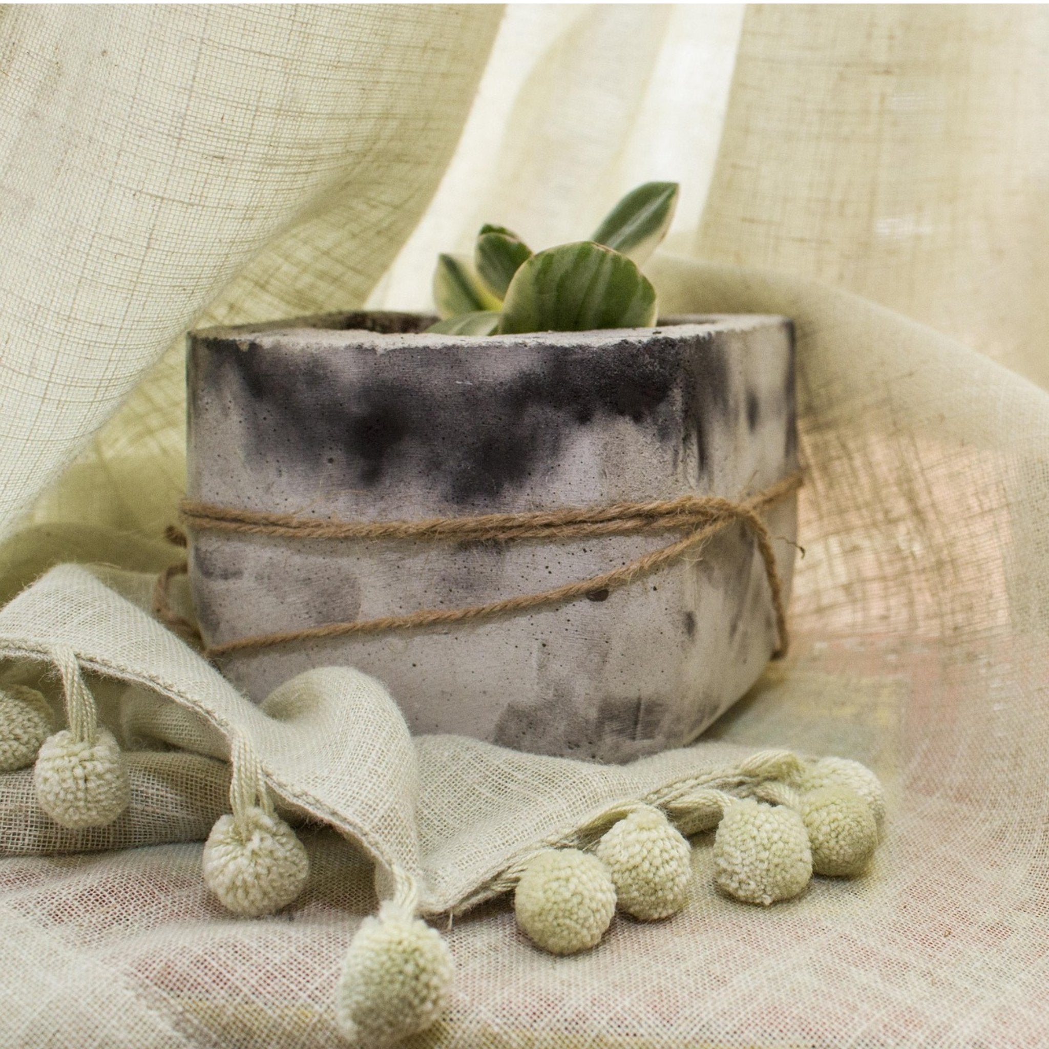 Wellness Essentials